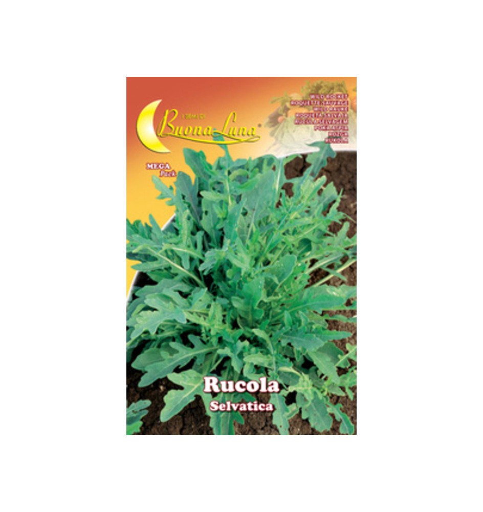 SEMI ORTO RUCOLA SELVATICA