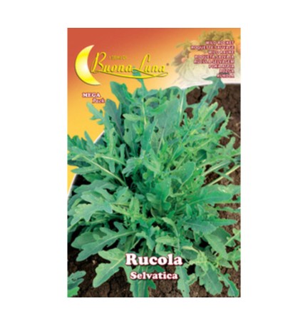 SEMI ORTO RUCOLA SELVATICA
