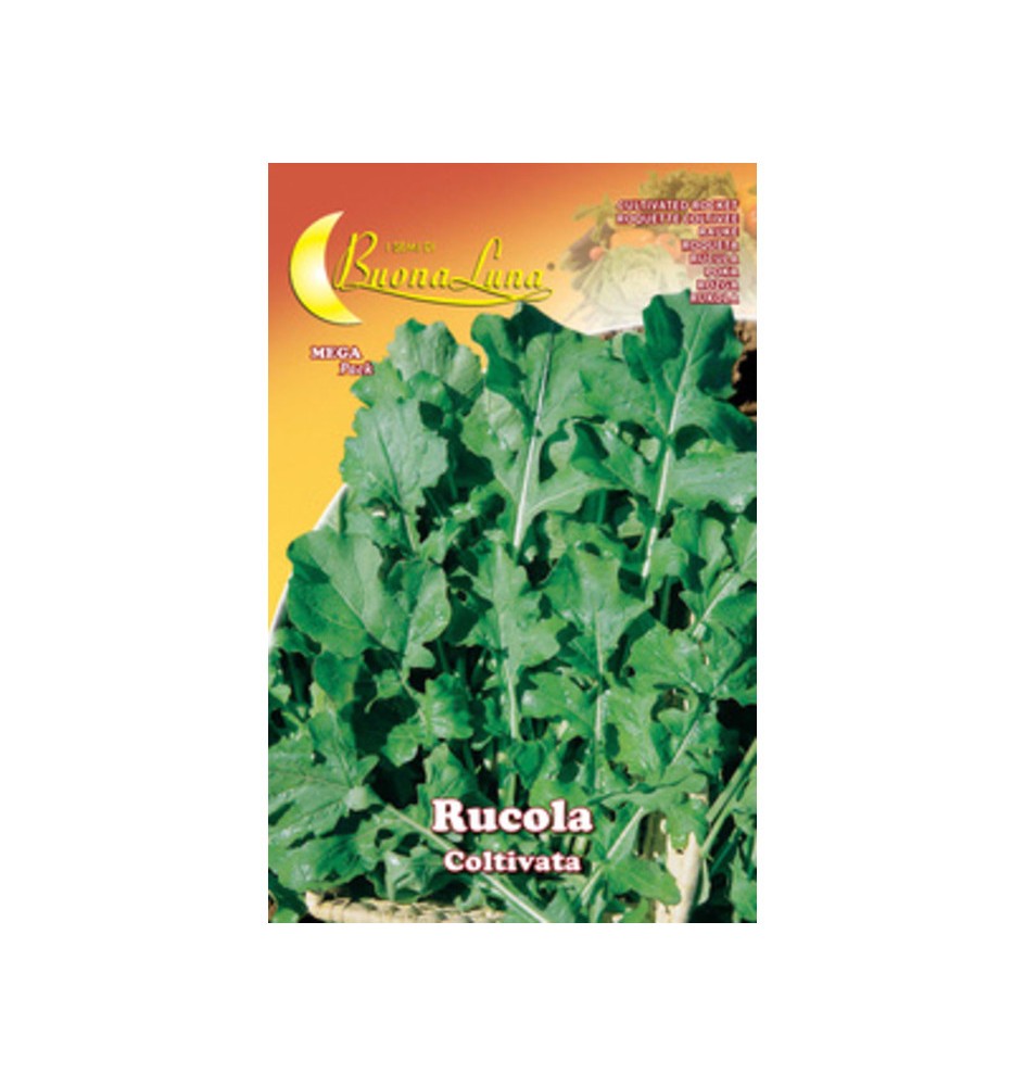 SEMI ORTO RUCOLA COLTIVATA