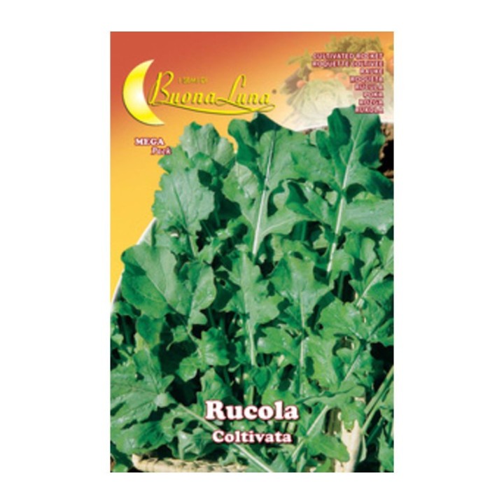 SEMI ORTO RUCOLA COLTIVATA