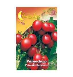 SEMI ORTO POMODORO CILIEGINO