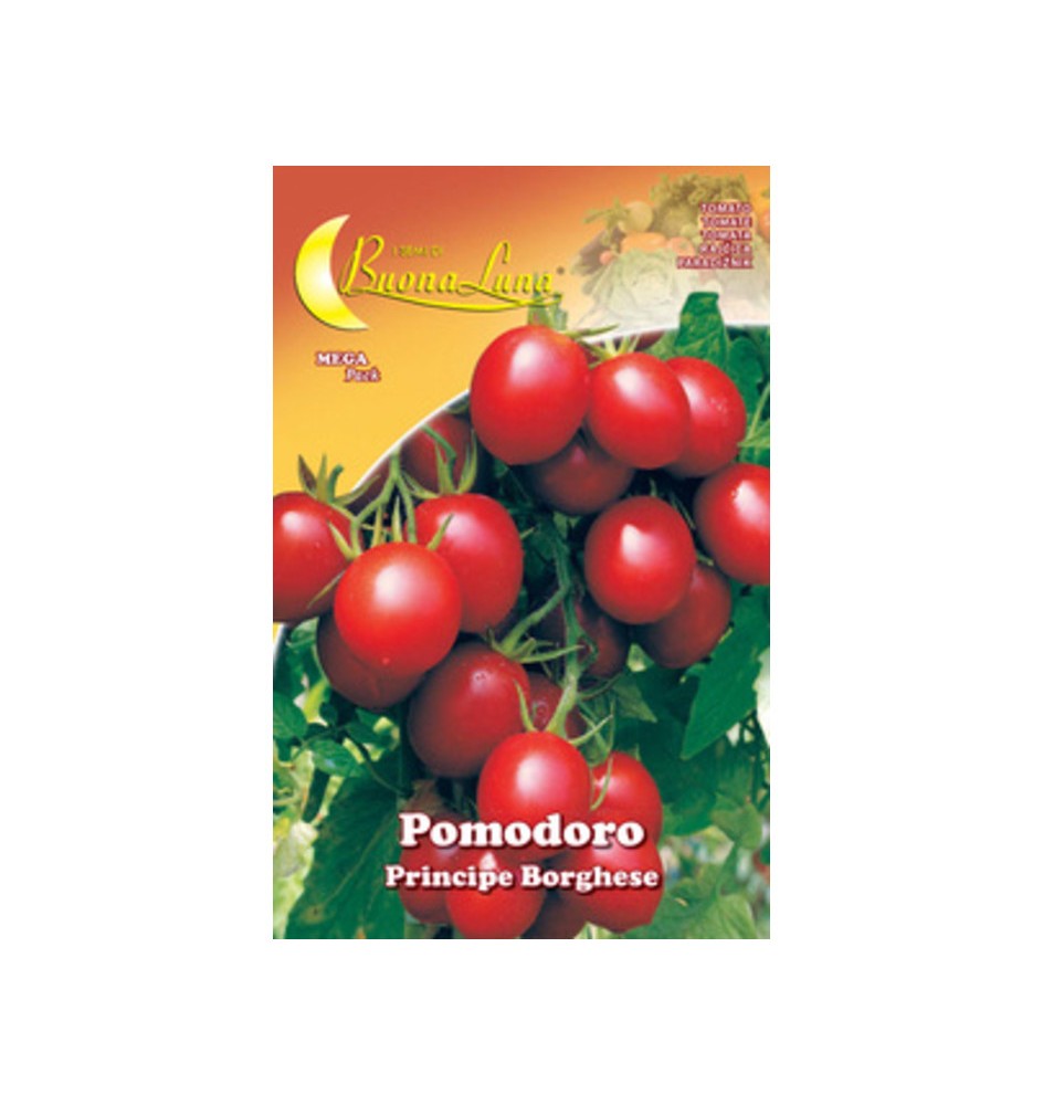 SEMI ORTO POMODORO CILIEGINO