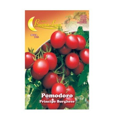 SEMI ORTO POMODORO CILIEGINO