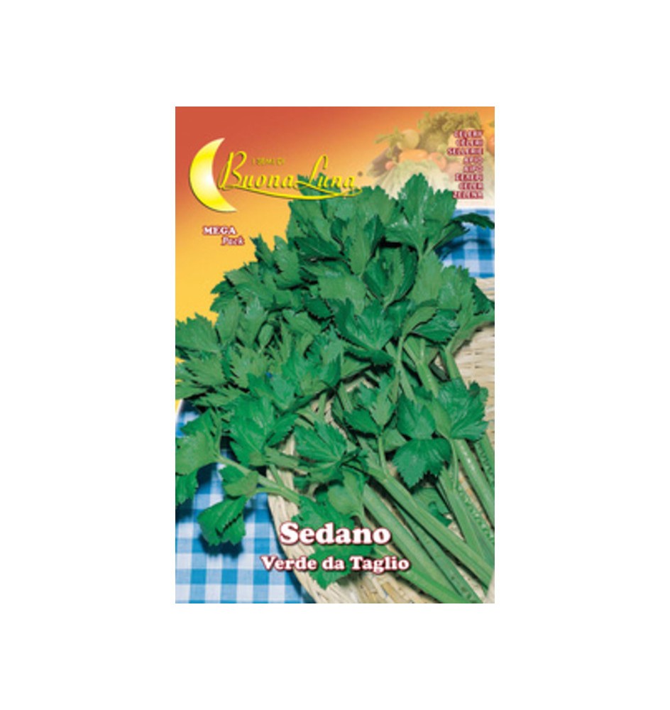 SEMI ORTO SEDANO VERDE DA TAGLIO