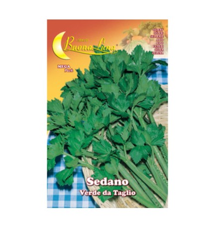 SEMI ORTO SEDANO VERDE DA TAGLIO
