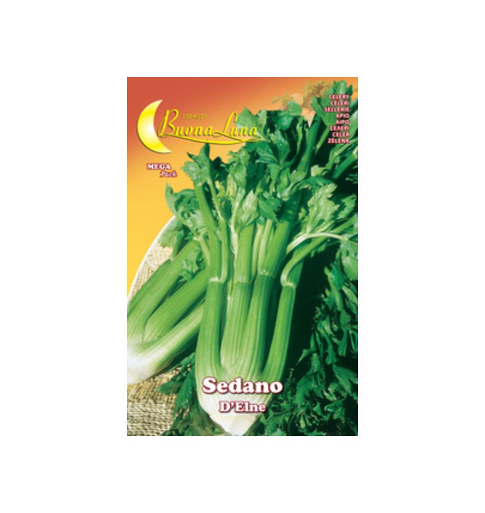 SEMI ORTO SEDANO DELNE