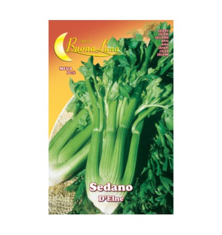 SEMI ORTO SEDANO DELNE