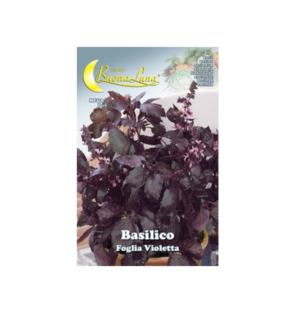 SEMI ORTO BASILICO FOGLIA VIOLETTA