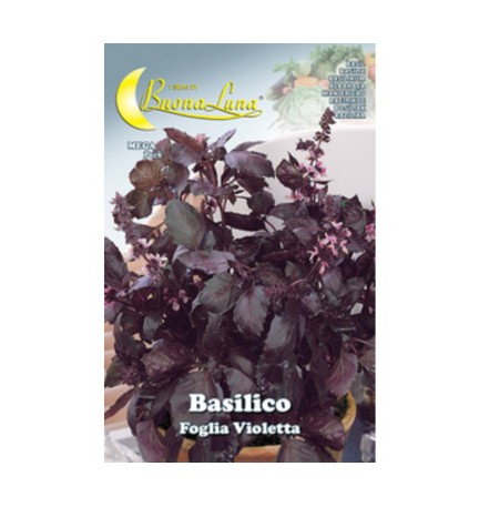 SEMI ORTO BASILICO FOGLIA VIOLETTA