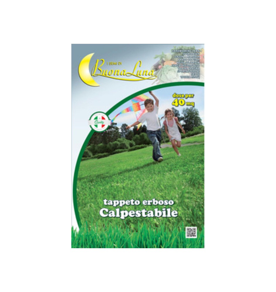 SEMI PRATO CALPESTABILE 1 KG