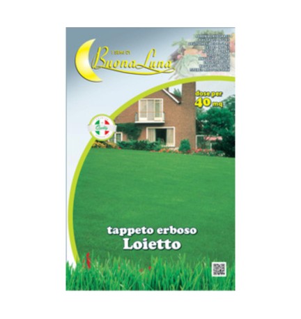 SEMI PRATO LOIETTO 1 KG