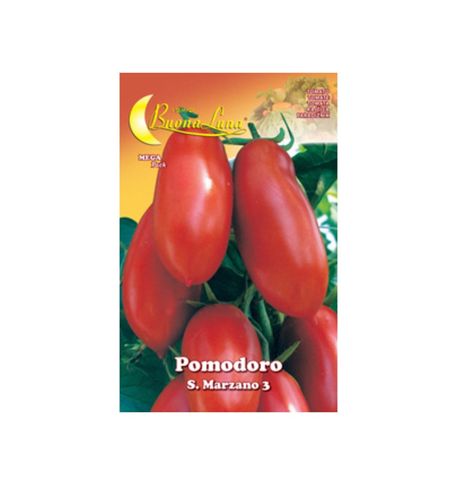 SEMI ORTO POMODORO S. MARZANO