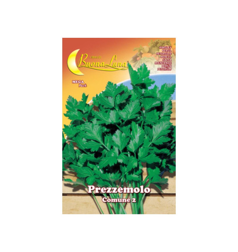 SEMI ORTO PREZZEMOLO COMUNE 2