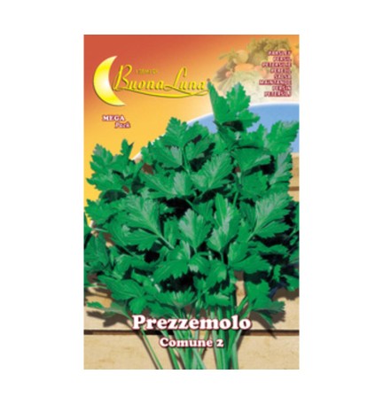 SEMI ORTO PREZZEMOLO COMUNE 2