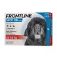 FRONTLINE SPOT-ON KG.40-60 CANI XL (3+1)