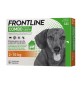 FRONTLINE COMBO 02-10 KG CANI PICCOLI 3 PIPETTE