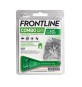 FRONTLINE COMBO KIT GATTINI 1 PIPETTA