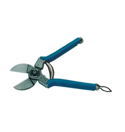 FORBICI FRUTTETO DUE BUOI 135 20 CM