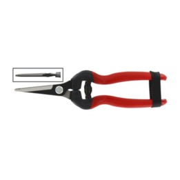 FORBICI P/UVA LAME DRITTE LUNGHE
