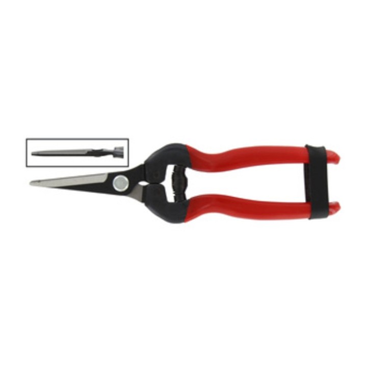 FORBICI P/UVA LAME DRITTE LUNGHE