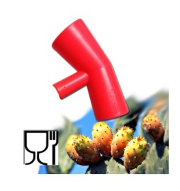 RACCOGLI FICHI DINDIA