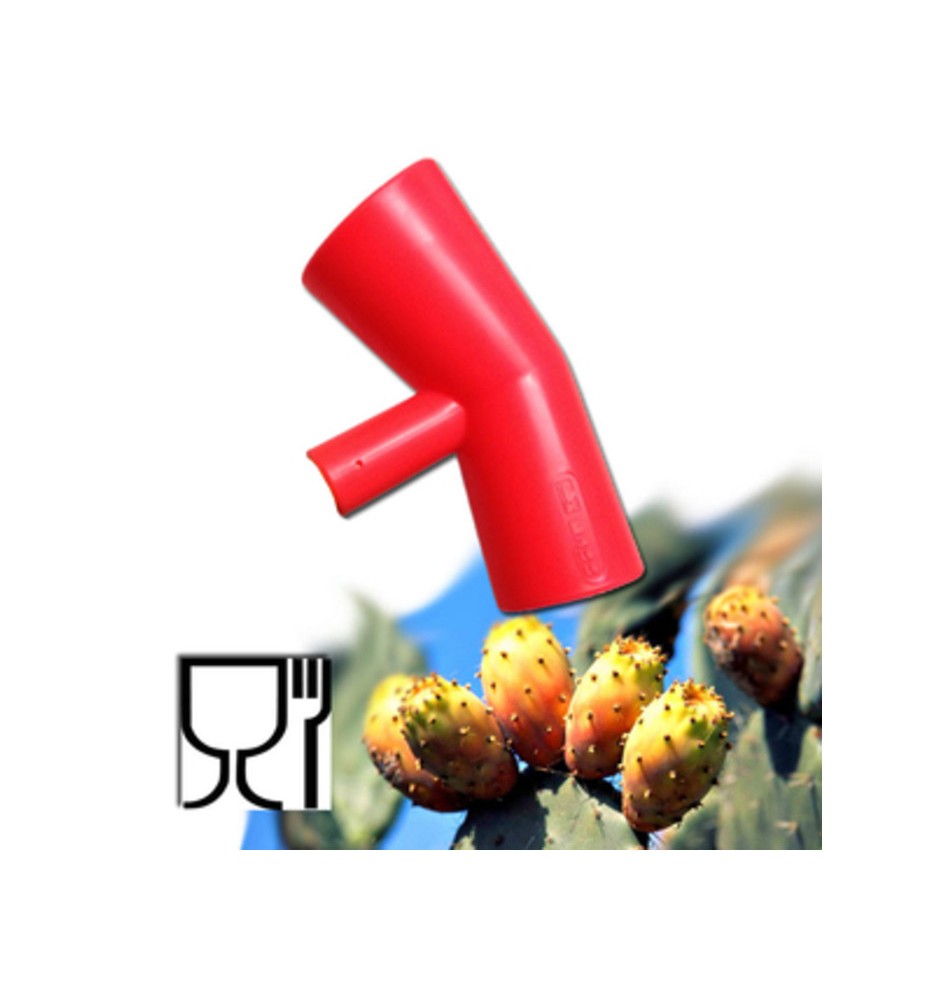 RACCOGLI FICHI DINDIA