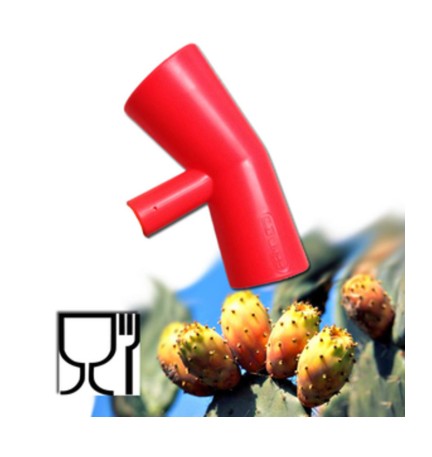 RACCOGLI FICHI DINDIA