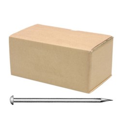 CHIODI ZINCATI FUOCO GARANZ. 20 ANNI 21X100 T. BOMB