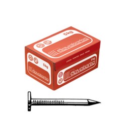 CHIODI TESTA PIANA LARGHISSIMA 17X25 CAVATORTA