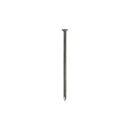 C CHIODI TESTA PIANA BL.100G 10X25