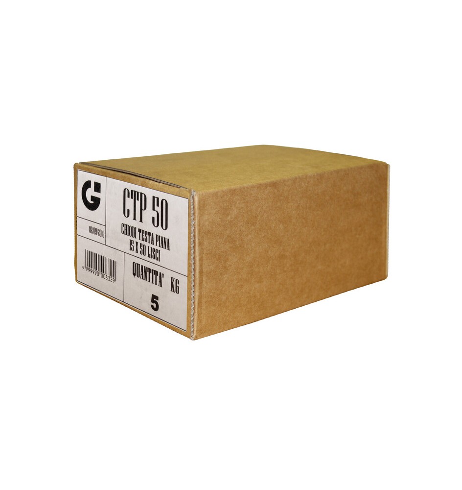 CHIODI TESTA PIANA 20X100