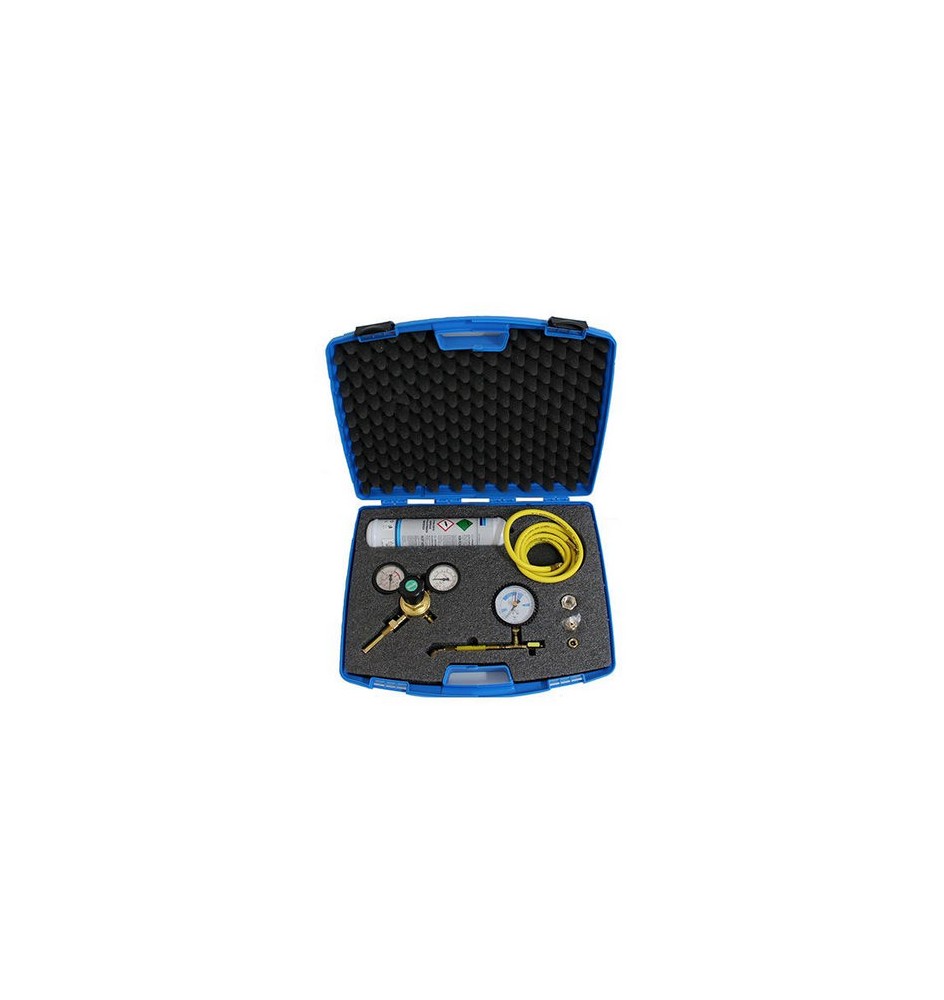 KIT AZOTO 1 LT IN VALIGETTA 1 lt
