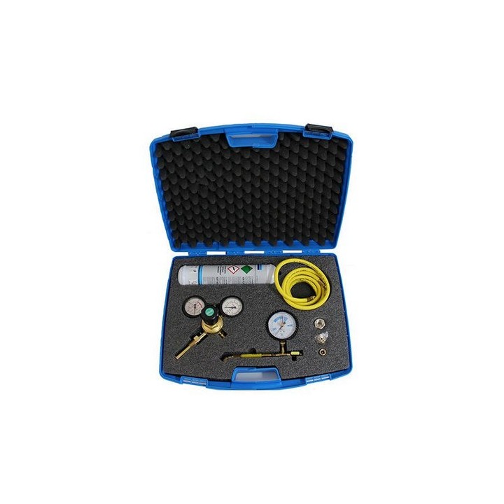 KIT AZOTO 1 LT IN VALIGETTA 1 lt