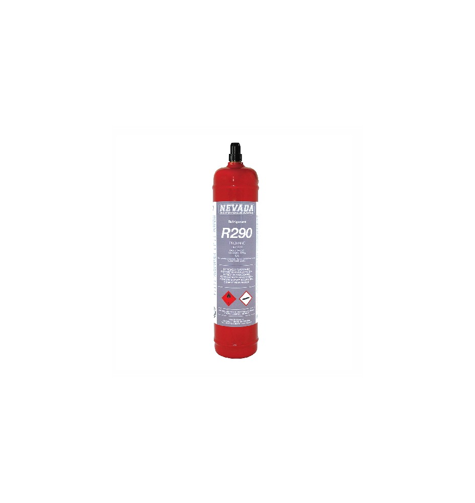BOMBOLETTA GAS REFRIGERANTE R290 370G 370 gr.