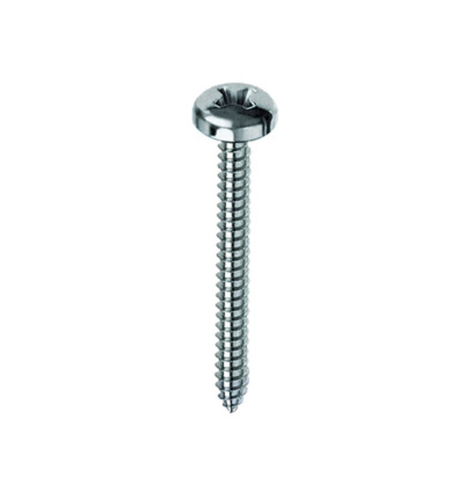 VITE AUTOFILETTANTE TC 4,2X 50MM ZINCATA