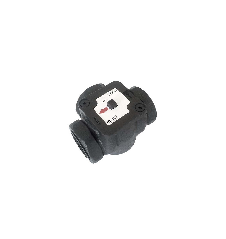 VALVOLA TERMOSTATICA MISCELATRICE ANTICONDENSA TM 2000 55°C 1" 55°