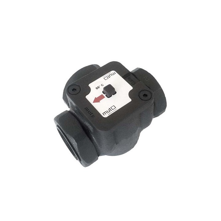 VALVOLA TERMOSTATICA MISCELATRICE ANTICONDENSA TM 2000 55°C 1" 55°