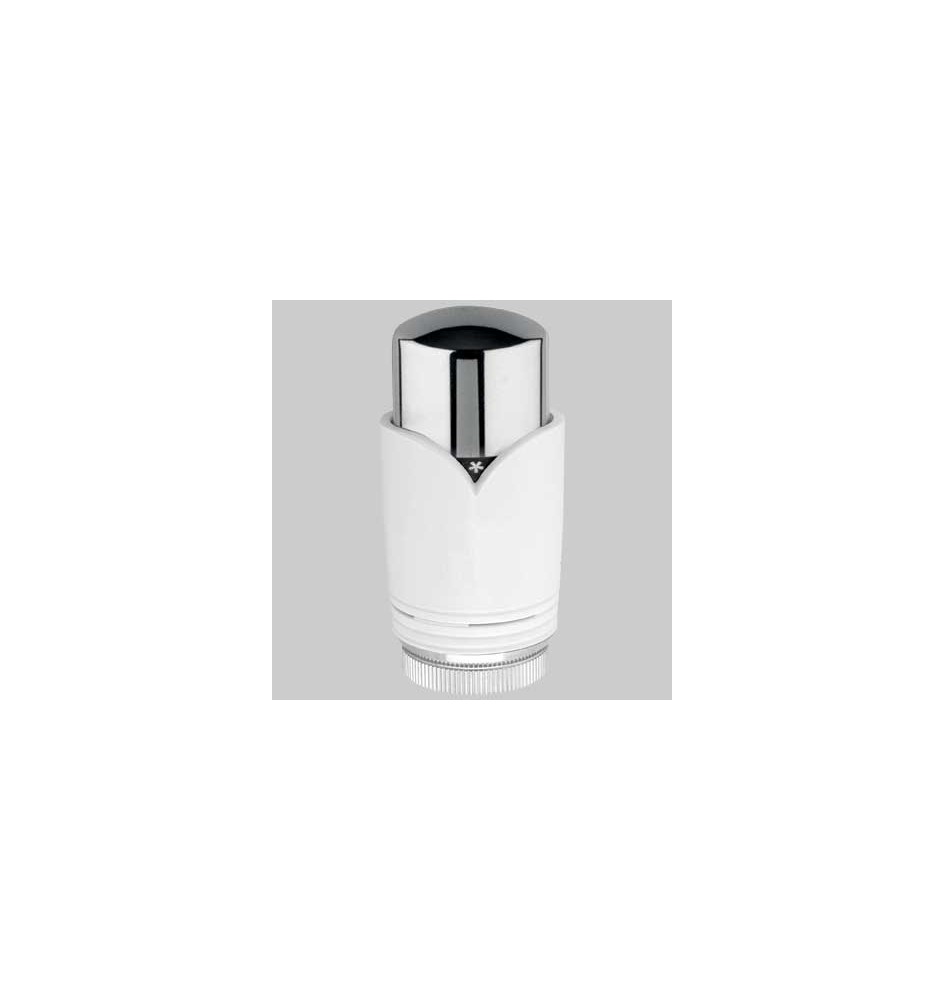 TESTA TERMOSTATICA 310BC - 30x1,5