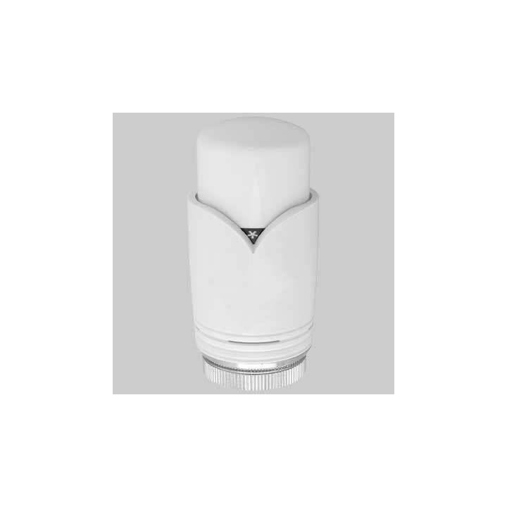 TESTA TERMOSTATICA 310BB - 30x1,5