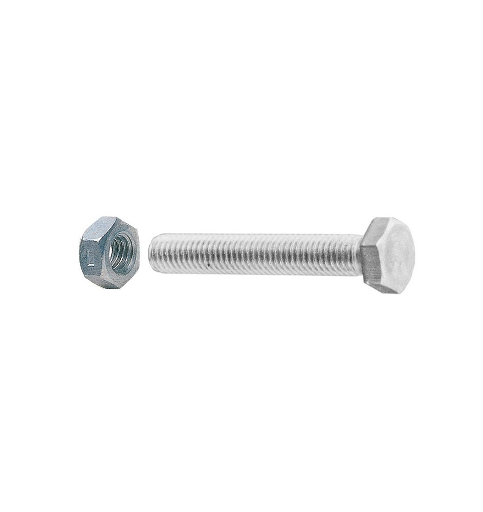 SC VITI A METALLO TESTA ESAG 6X 20 ZINC C/DADO 15PZ*