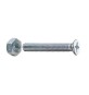 SC VITE P/FERRO TSP 4 X 10MM ZINC C/DADO 40 PZ*