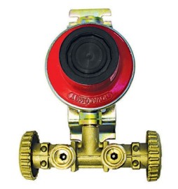 MINI CENTRALINA CON REGOLATORE 1800 SENZA MANICHETTE Kg/H 4