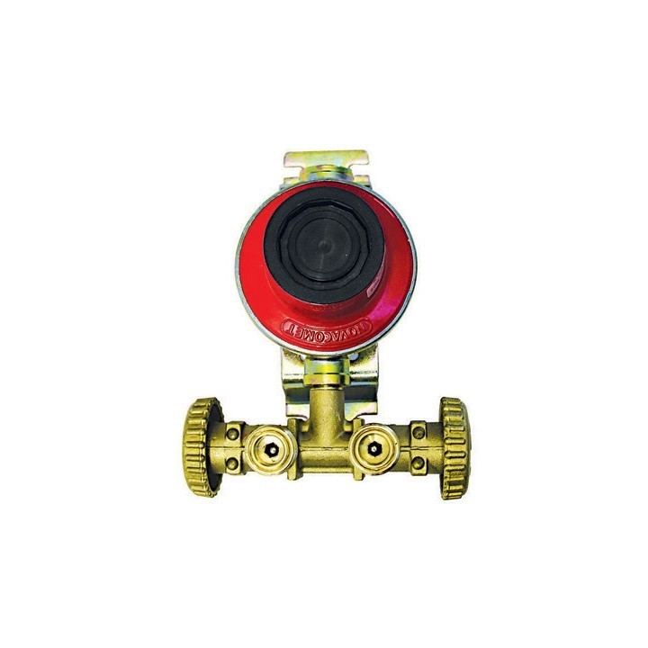 MINI CENTRALINA CON REGOLATORE 1800 SENZA MANICHETTE Kg/H 4