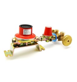 MINI-CENTRALINA CON REGOLATORE 1803-APR85 SENZA MANICHETTE kg/H 4