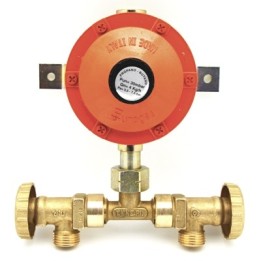 MINI-CENTRALINA CON REGOLATORE SENZA FLESSIBILI 4 KG 4 Kg/h