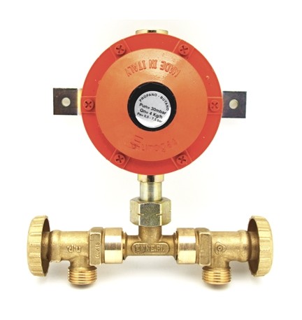 MINI-CENTRALINA CON REGOLATORE SENZA FLESSIBILI 4 KG 4 Kg/h