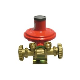 MINI CENTRALINA CON REGOLATORE 2205 SENZA MANICHETTE Kg./ h 10