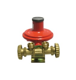 MINI CENTRALINA CON REGOLATORE 2205 SENZA MANICHETTE Kg./ h 10