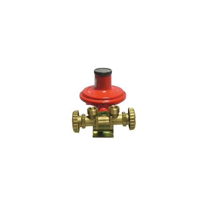 MINI CENTRALINA CON REGOLATORE 2205 SENZA MANICHETTE Kg./ h 10