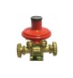MINI CENTRALINA CON REGOLATORE 2205 SENZA MANICHETTE Kg./ h 10